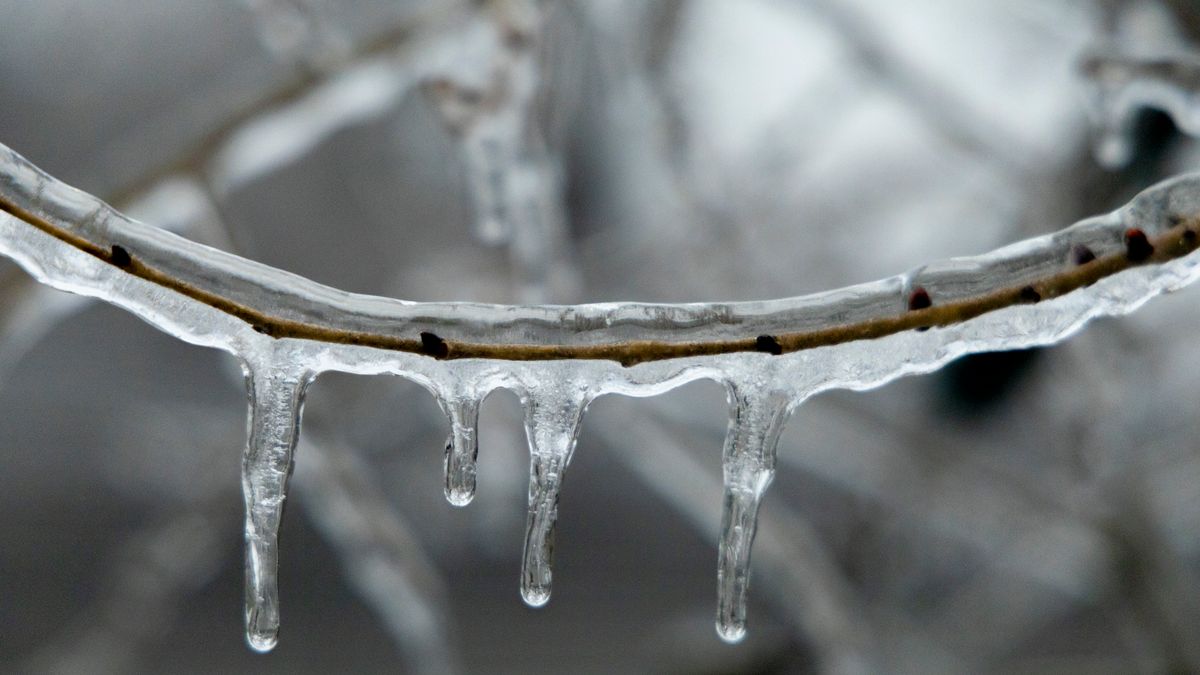 Koelkast ontdooien en No Frost uitgelegd